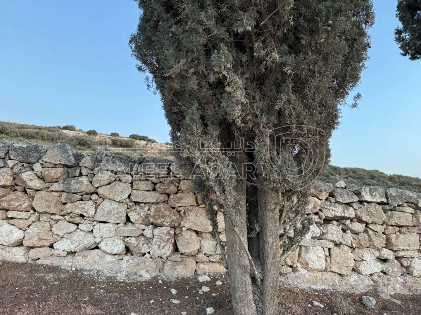أرض في بلعاس - يبعد 6 دقائق عن طريق المطار - 158,999 دأ - صورة 1